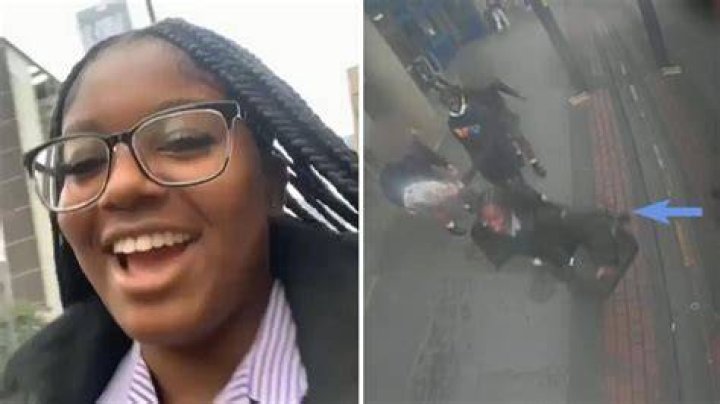 
Chicago Woman, 61, Arrested After She Allegedly Stabbed 15-Year-Old Girl’s Dog During Walk 