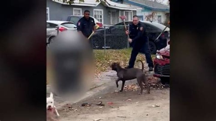 
Georgia Boy, 11, Recovering After Being Attacked by 3 Pit Bulls: ‘He Didn’t Ask for This’ 