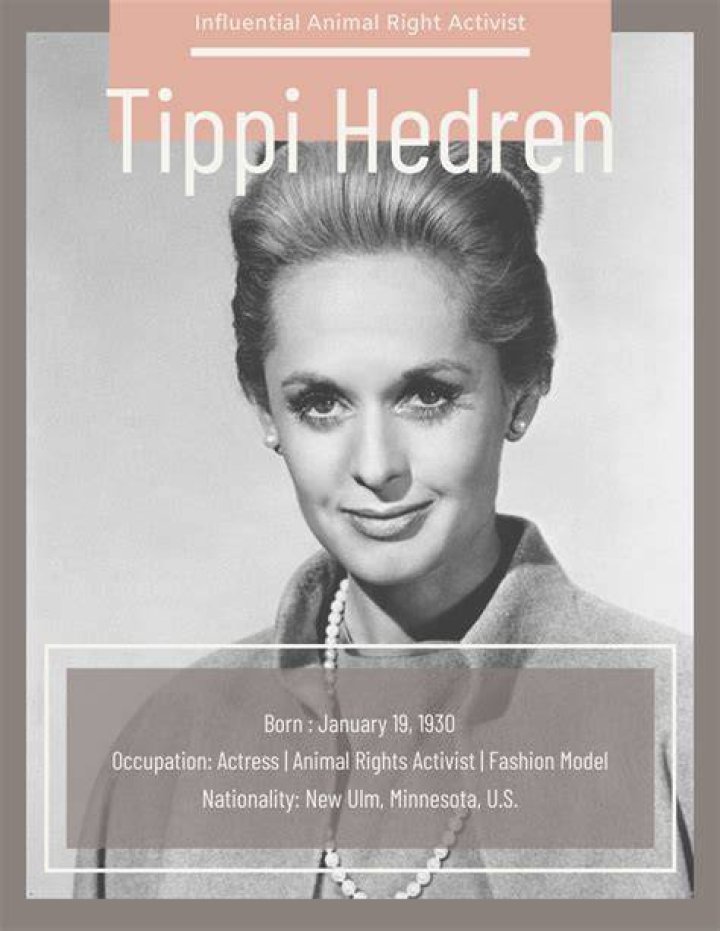 Is Tippi Hedren Still Alive? Know Tippi Hedren Biography And Net Worth