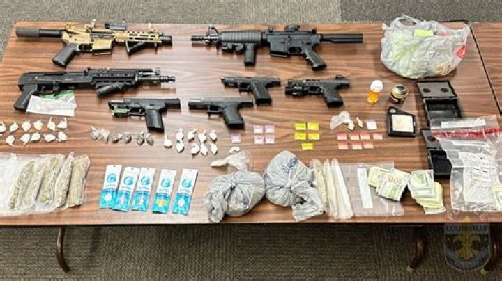 
Julia Fox’s Dad And Brother Arrested In NYC Raid After Ghost Guns And Pills Found 