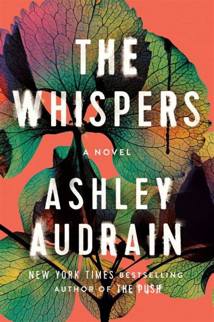 
lesli_sayl Height, Weight, Net Worth, Age, Birthday, Wikipedia, Who, Nationality, Biography 