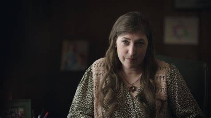 
Mayim Bialik And Her Ex-Husband Michael Stone Share Two Children 