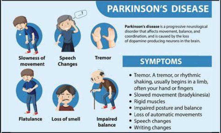 
Neil Diamond Illness Parkinson’s Disease Diagnosis And Health Update 2022 