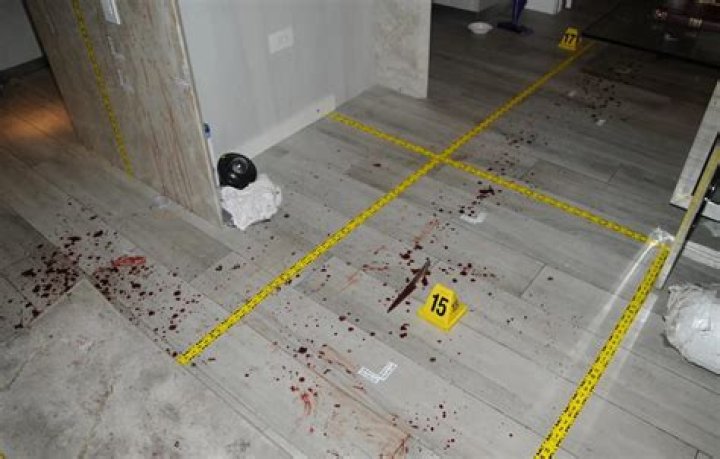 
Reagan Simmons Hancock Autopsy Report: Case Update 