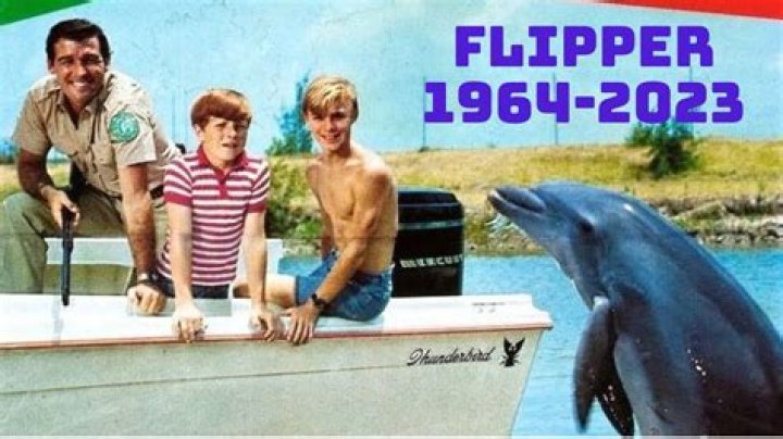 
Ricou Browning’s Death – Legendary Actor & Flipper Dies At 93 