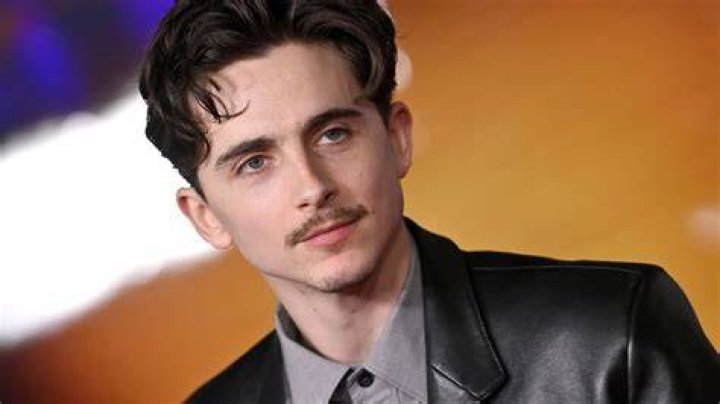 Timothee Chalamet No Makeup 2023 | Did He Have A Nose Job