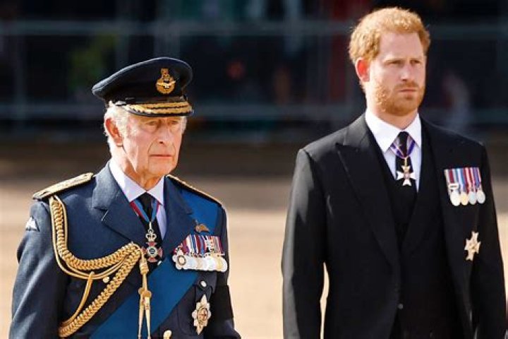 
Was Prince Harry on the balcony with the royals after King Charles’ coronation? Details revealed as the Duke of Sussex missed the balcony flypast 