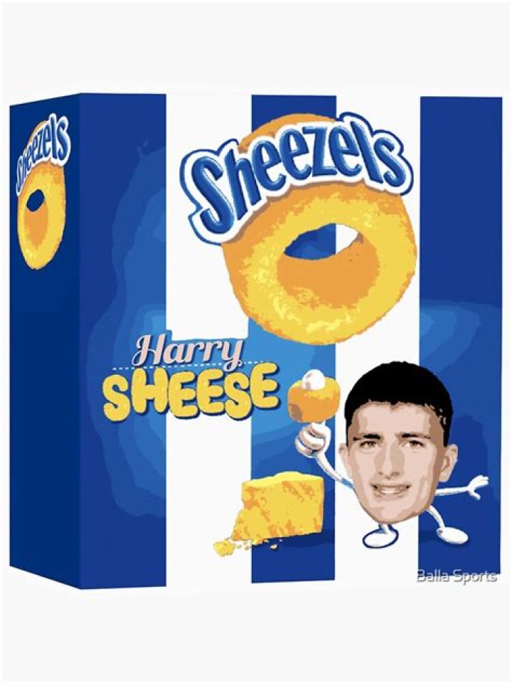 
Who are Harry Sheezels Parents? Harry Sheezel Biography, Parents Name, Nationality and More 